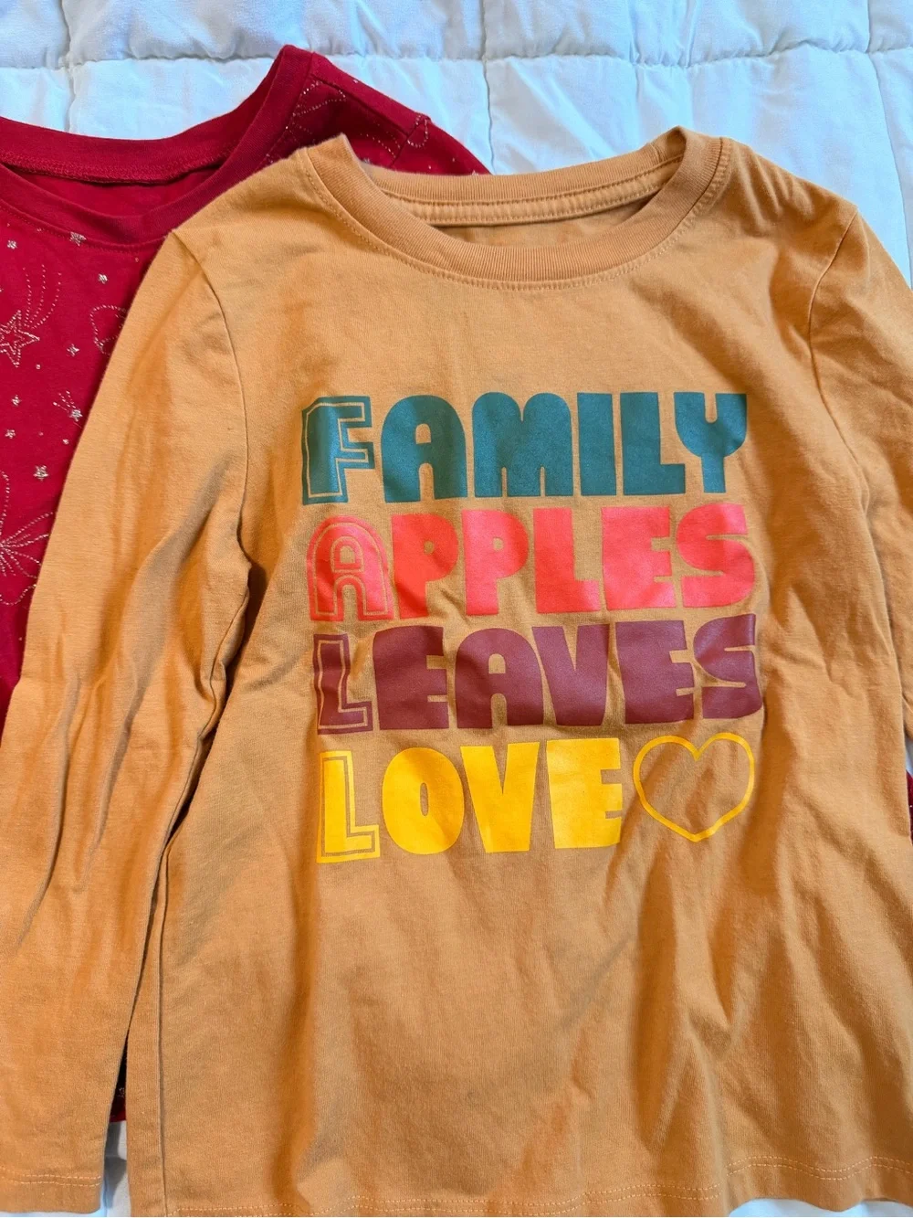 Girls 5T/5-6 Shirt Bundle – Long & Short Sleeve Tops